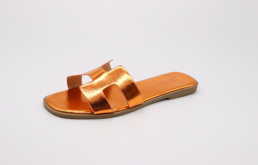 Shoes #31
